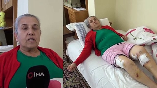Sokak Köpeklerinin Saldırısına Uğrayan Yaşlı Kadın Ölümden Döndü