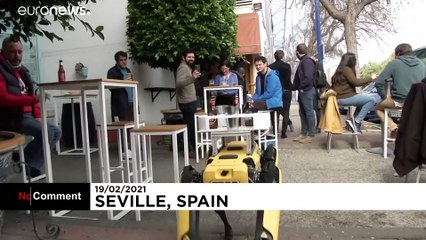 شاهد: بسبب كورونا..  روبوتات تقدم الجعة للعملاء في حانات إشبيليه