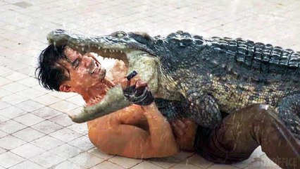 Un Crocodile dans ma piscine !