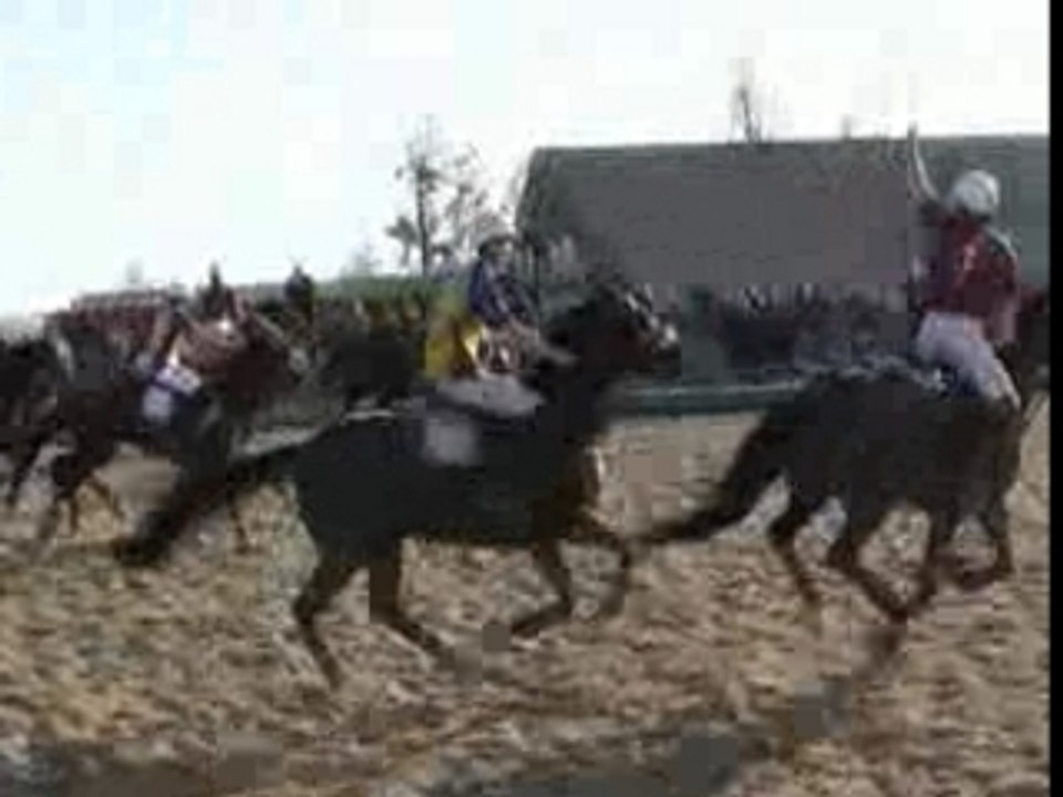 Horseball : la pato
