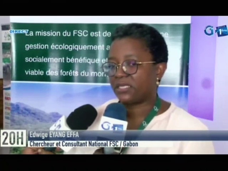 RTG/  Projet de certification des forêts Gabonaises