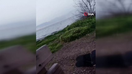 Aranması olan şahıs, gözaltına alınmamak için denize atladı