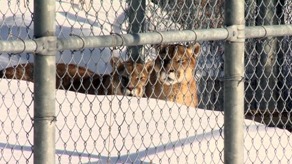 24 fev FL LPM semaine relache crainte