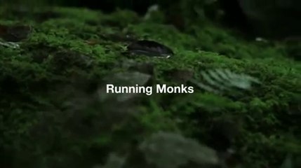 Running Monks
