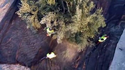 شاهد: قطاع الزيتون في إسبانيا في مواجهة الرسوم الجمركية الأمريكية "المجحفة"