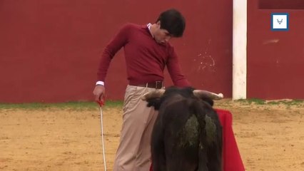 Álvaro Lorenzo: ‘El campo es el mejor lugar para seguir ahondando en mi toreo’
