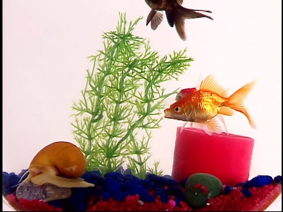 Baby Einstein - Baby Lullaby - Parade of Lullabies (2011)