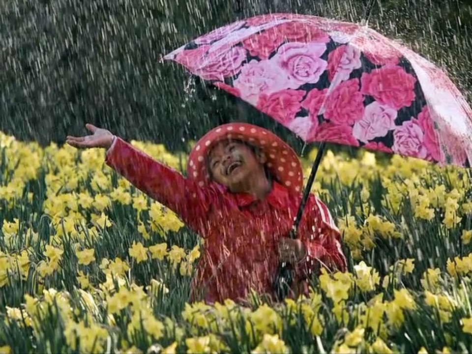 Baby Einstein - World of Rhythm - Pillie's Rhymes and Rhythms (2011)