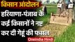Kisan Andolan: Rakesh Tikait की अपील के बाद खड़ी फसल बर्बाद कर रहे किसान | वनइंडिया हिंदी