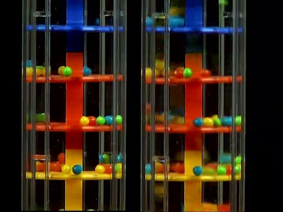 Baby Einstein - World of Rhythm - Coco's Song and Dance Studio (2011)