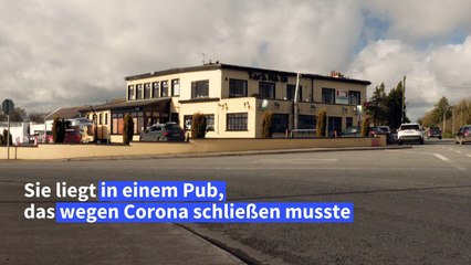Irland: Pub wird zu Tierasyl