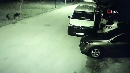 Park halindeki otomobile böyle çarptı