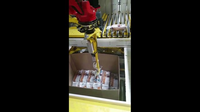 Palettisation et Mise en box