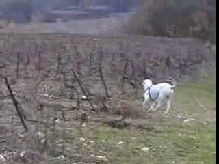 Entrainement pistage Yag