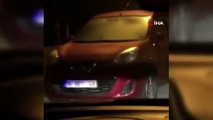 Bursa’da aç kalan domuzlar sokağa indi