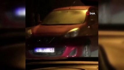 Bursa'da aç kalan domuzlar sokağa indi