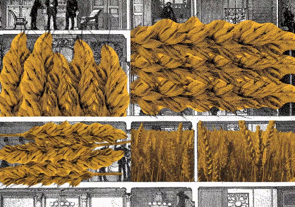 Petites histoires naturelles de l'architecture - Episode 2 - Le blé et la ville