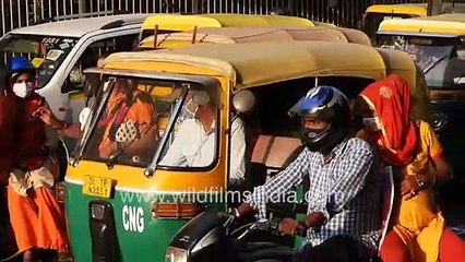 Transvestite solicits at traffic light in India_ Kinner in New Delhi