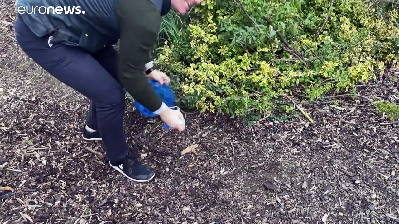 Die Pandemie erhöht den Plastikmüll