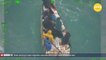 Boat carrying Cuban migrants capsizes after more than 16 days at sea
