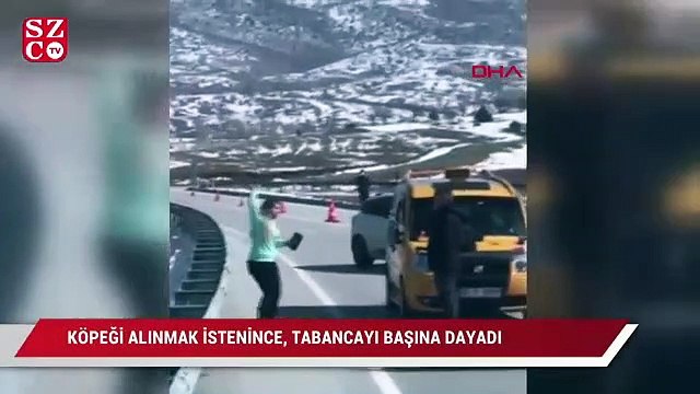 Pitbull cinsi köpeği alınmak istenince, tabancayı başına dayadı