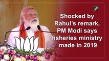 Shocked by Rahul’s remark, PM Modi says fisheries ministry made in 2019