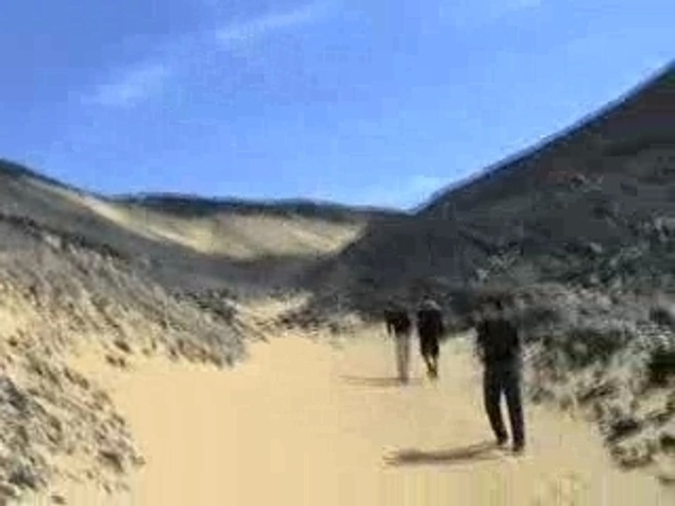 Le desert noir