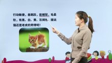13.猫|小学语文课文|四年级下