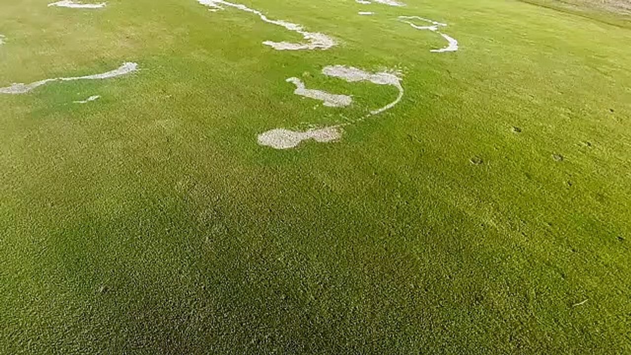 Diesel poured over golf club in pre-planned attack at golf club