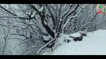 KAR YAĞIŞI /Dağ Köyünde Kar Yağışı Güzel Rahatlatıcı Kar Yağışı İle Huzuru Yaşa