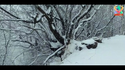 Tải video: KAR YAĞIŞI /Dağ Köyünde Kar Yağışı Güzel Rahatlatıcı Kar Yağışı İle Huzuru Yaşa