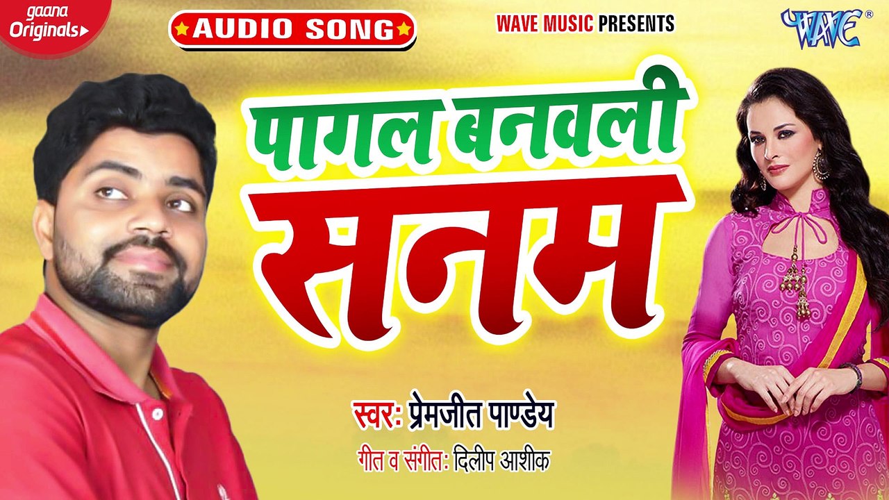 Pagal Banwali Sanam - Pagal Banwali Sanam - Premjit Pandey