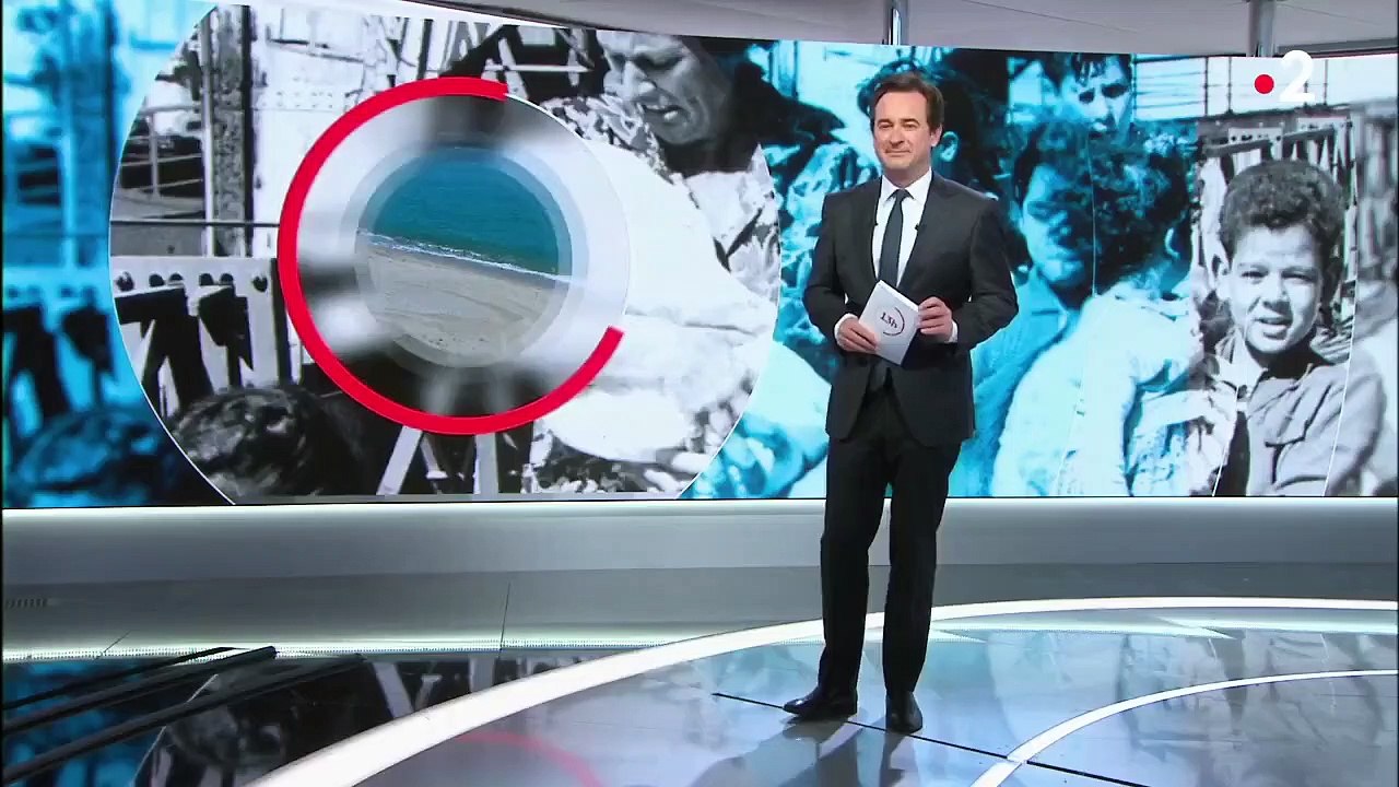 Guerre d'Algérie : les cicatrices profondes des descendants de combattants algériens, de harkis et de pieds-noirs