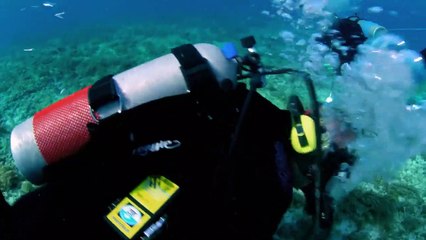 COOPER'IN HAZİNESİ İzle   2  Sezon 3  Bölüm