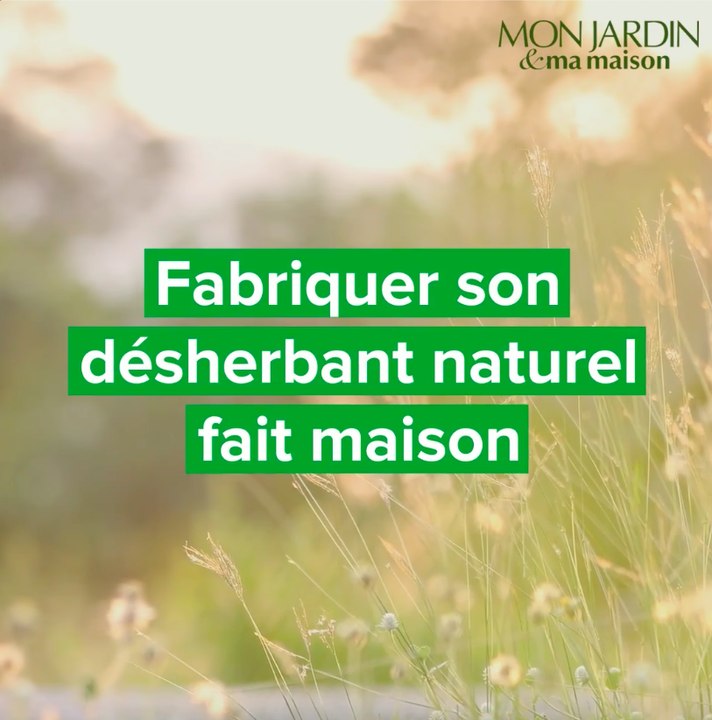 Fabriquer son désherbant naturel fait maison