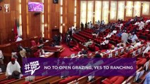Why Nigerians must say no to open grazing, and yes to ranching⁣⁣  II Have Your Say