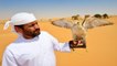Why Emiratis love falcons?