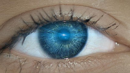 Scientific Facts That Will Shock You