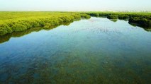 Ramsar List: 7 UAE Sites