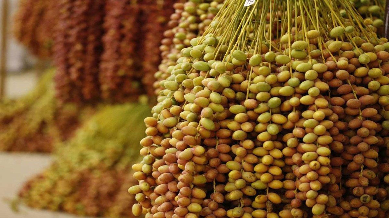 Liwa Date Festival: Celebrating Heritage