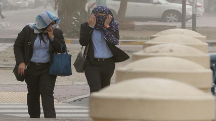 How do you deal with sandstorms?