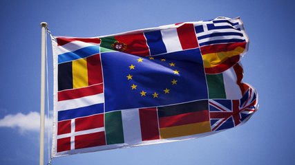 Why Do Flags Look Similar?