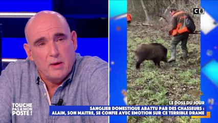 Le témoignage émouvant de Alain Martin,propriétaire d'un sanglier abattu lâchement par des chasseurs