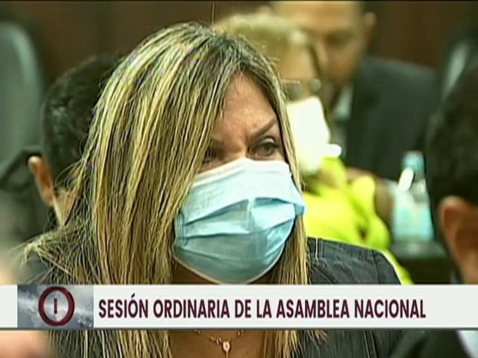 AN aprobó en primera discusión Ley Derogatoria de Regularización de Períodos Constitucionales  Legales de los Poderes Públicos Estadales y Municipales