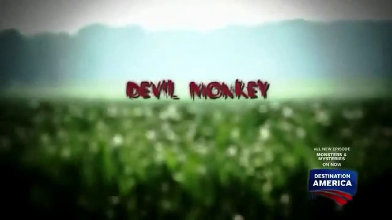 DEVIL MONKEY,Kentucky