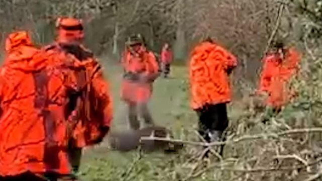 Sanglier domestiqué abattu par un chasseur : «J’en ai encore les larmes aux yeux», confie Alain un an après