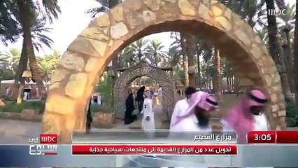 مزارع النخيل في القصيم تتحول إلى منتجعات سياحية جذابة