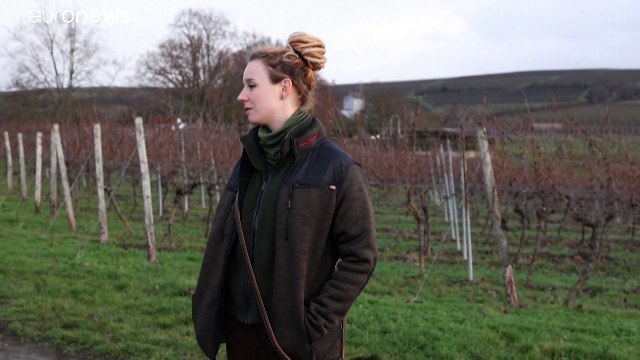 В Германии всё больше охотников