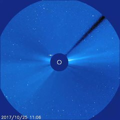 Long Tail comet Orbits Sun