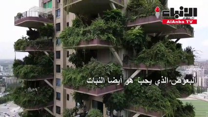 النبات يجتاح مجمعا سكنيا في الصين
